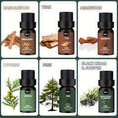6pc Woodland Essential Oils Set