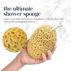Natural Seaweed Bathing Sponge