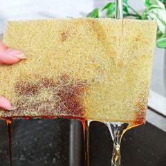 Sisal Fiber Kitchen Sponge