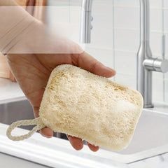 Natural Luffa Dish Scrubber