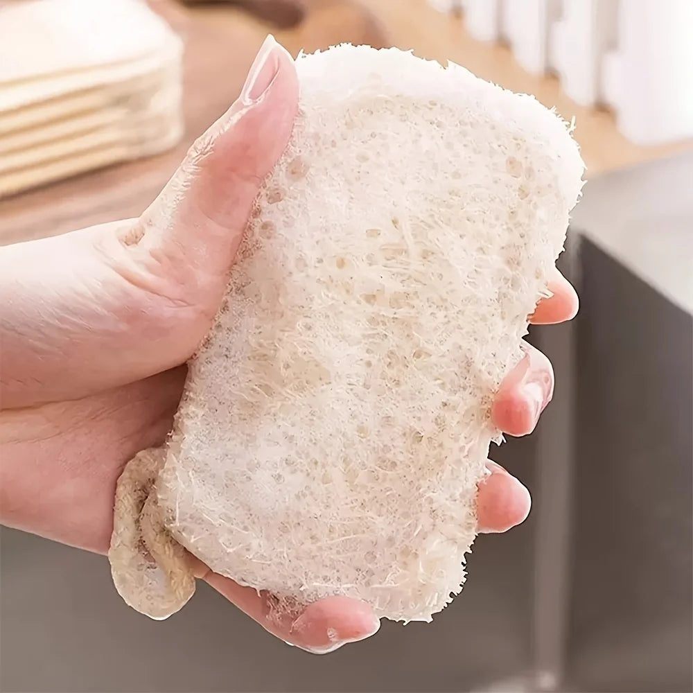 Natural Luffa Dish Scrubber