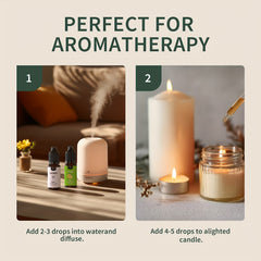 20 Essential Oils Gift Set - 10ml Each
