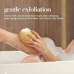 Natural Seaweed Bathing Sponge