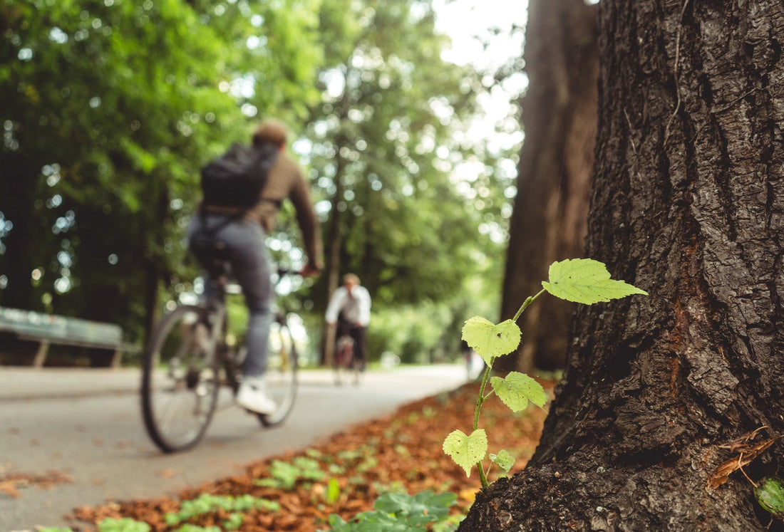 Australia and the Eco-Friendly Movement
