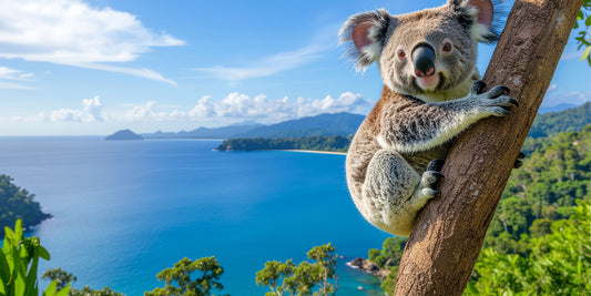 Australia and the Eco-Friendly Movement