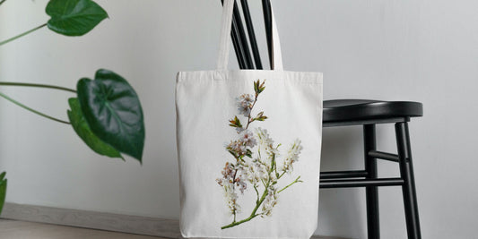 5 Simple Habits for a Zero-Waste Home