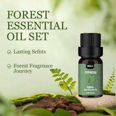 6pc Woodland Essential Oils Set