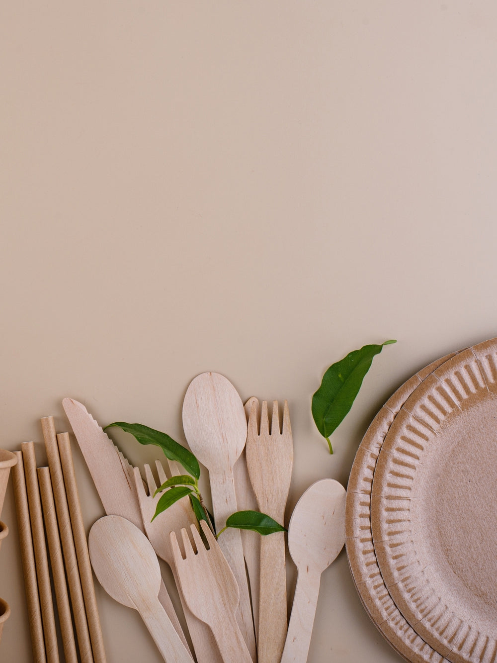 Eco friendly products | olo-still-nature
